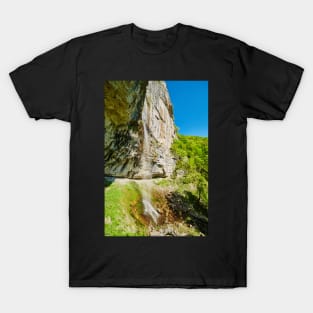 Vanturatoarea waterfall T-Shirt